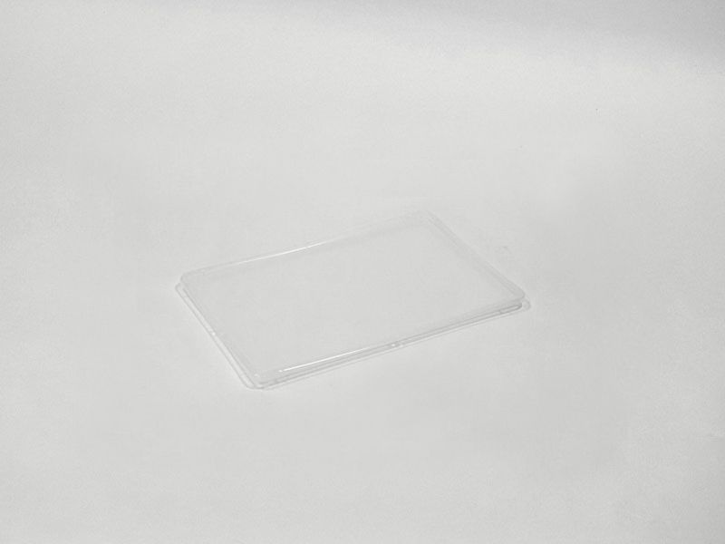 Bac de rangement transparent 9L transparent 9l 23x35x16,5cm - L